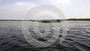 Natuurgebied Naardermeer, Nature reserve Naardermeer