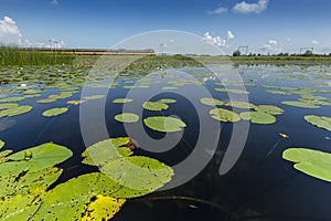 Natuurgebied Naardermeer, Nature reserve Naardermeer