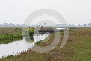 Natuurgebied Rondevenen, Nature reserve Rondevenen