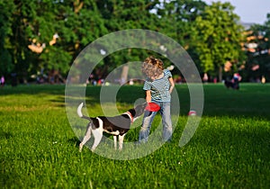 The naughty boy plays with doggy on a green glade in park.