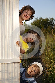 Naughty Boys look out from behind a fence, summer garden children