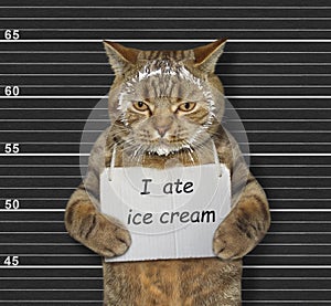 Naughty cat ate ice cream