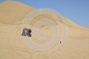 A naughty dog chasing the running dune buggy on the desert dunes of Huacachina, Ica region, Peru