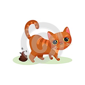 Naughty kitten pooping, mischievous cute little cat vector Illustration on a white background