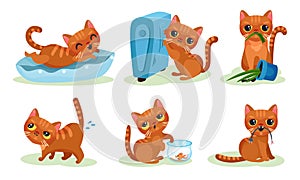Naughty Playful Kitten Turning Over the Flowerpot, Cathcing Fish in Aquarium Vector Set