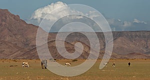 Naukluft mountains, Namibia