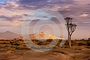 Naukluft Nature Reserve, Namib Desert, Namibia