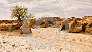 Naukluft Nature Reserve, Namib Desert, Namibia