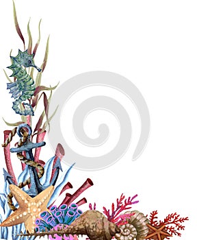 Nautical.Angular underwater composition of marine life. Seahorse, algae, shells, anchor. Watercolor illustration.