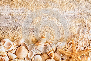 Nautical background and border of seashells