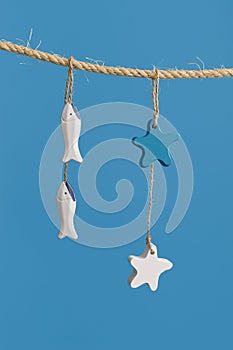 Nautical concept with sea lifestyle decorations hanging on rope. Sea toys lifeline, seastars and small fish