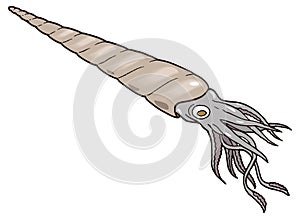 nautiloid squid fish dinosaur ancient vector illustration transparent background