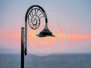 Nautilus Lamp At Sunrise