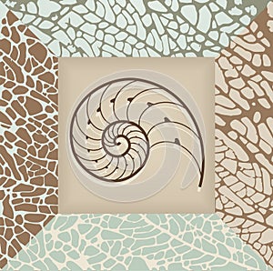 Nautilus shell background.
