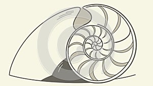 Nautilus Shell Cross Section, vector design Generative AI