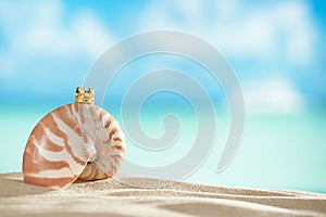 Nautilus shell and crown with ocean , beach and seascape