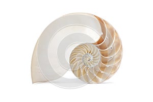 Nautilus shell and famous geometric pattern