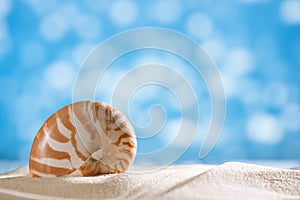 Nautilus shell with ocean , beach and glitter seascape