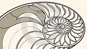 Nautilus shell spiral, depicting nature pattern and Fibonacci sequence vector design Generative AI