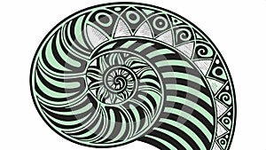 Nautilus shell spiral, nature pattern, and Fibonacci art vector design Generative AI