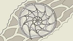 Nautilus Shell Spiral Pattern Art, vector design Generative AI