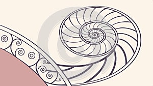 Nautilus shell spiral pattern, Fibonacci nature vector design Generative AI