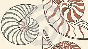 Nautilus Shell Spiral Pattern Vector Set, vector design Generative AI