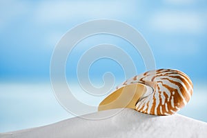 Nautilus shell on white beach sand, against sea waves,