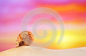 Nautilus shell on white beach sand, against sea waves