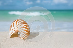 Nautilus shell on white beach sand, against sea waves