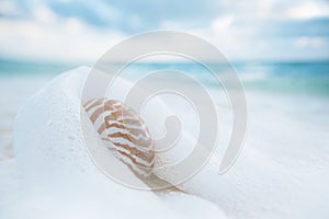 Nautilus shell on white beach sand against sea waves, shallow dof