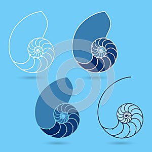 Nautilus shells photo