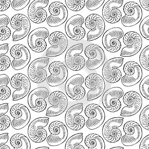 Nautilus Tiger Half-shell. Black and white hand-drawn collection of seamless patterns. Vector illustration.