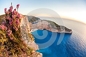 Navagio beach with shipwreck against colorful flowers on Zakynthos island, Greece