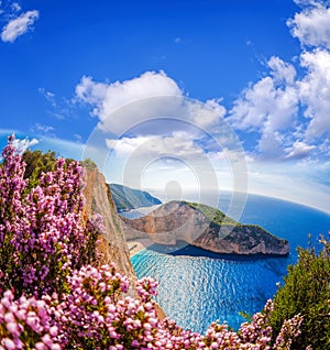 Navagio beach with shipwreck and flowers against blue sky on Zakynthos island, Greece