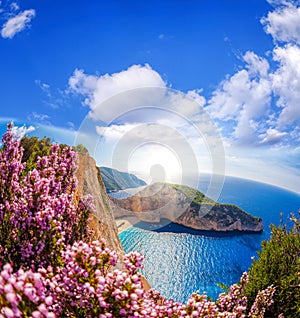 Navagio beach with shipwreck and flowers against blue sky on Zakynthos island, Greece