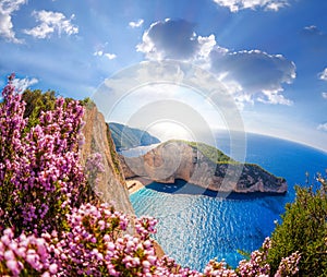 Navagio beach with shipwreck and flowers against blue sky on Zakynthos island, Greece photo