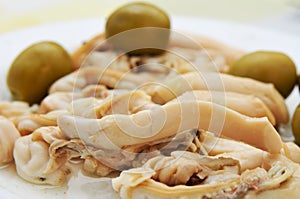 Navajas, spanish jackknife clams photo