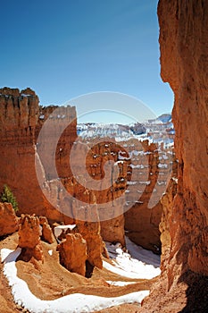 Navajo Loop hiking trail and hoodoos