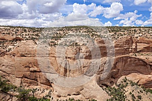 Navajo National Monument photo