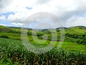 Fiji landscapes near the Navala village photo