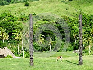 Fiji - traditional houses - bure at the Navala village photo