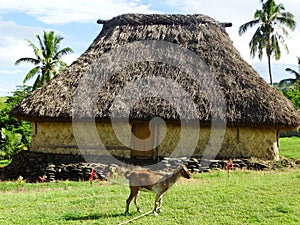 Fiji - traditional houses - bure at the Navala village photo