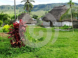 Fiji - traditional houses - bure at the Navala village photo