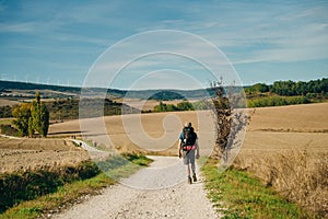NAVARRE, SPAIN - OCTOBER 2022 pilgrim walking in French Way Camino Frances to Santiago de Compostela