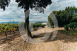 NAVARRE, SPAIN - OCTOBER 2022 pilgrim walking in French Way Camino Frances to Santiago de Compostela