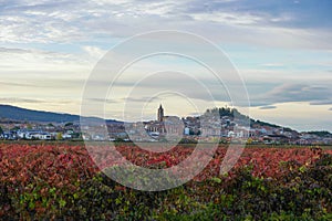 The small town of Navarrete among Vineyards in the autumn season photo
