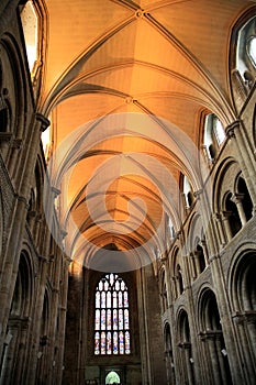 Nave roof, Priory church, Christchurch