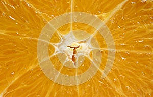 Navel orange