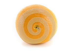 Navel Orange